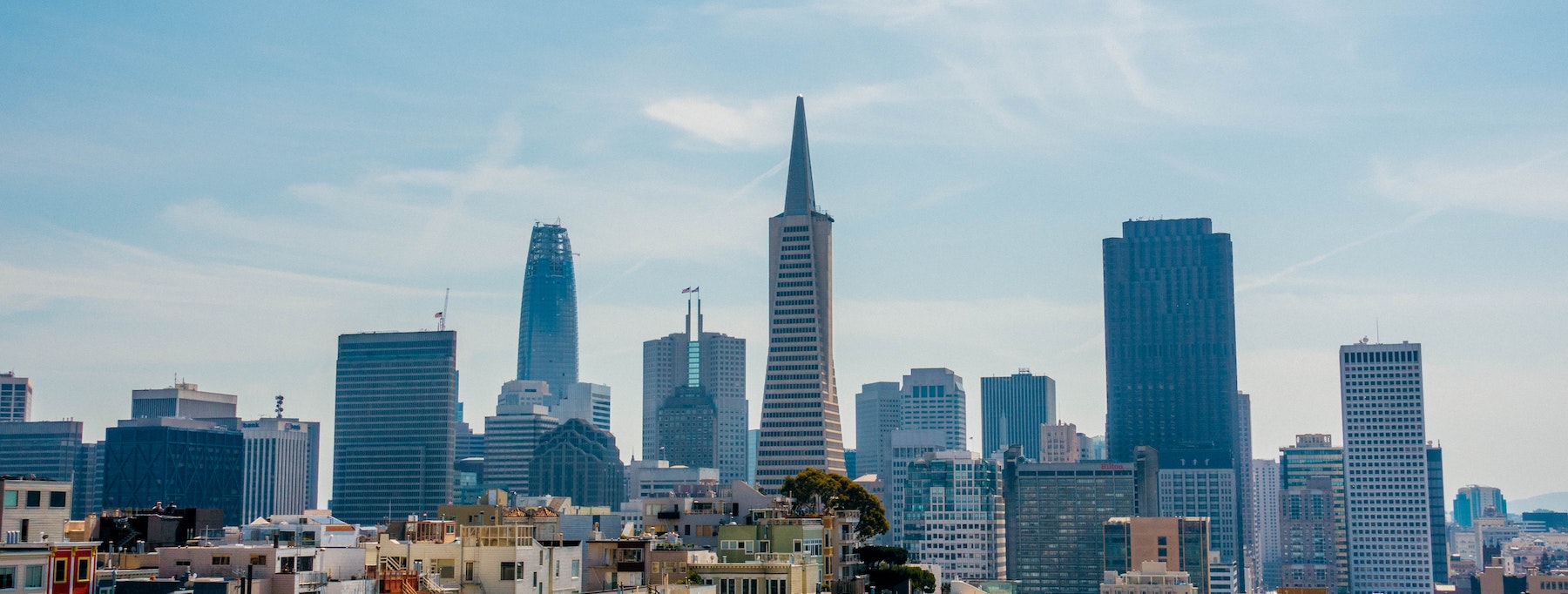 San Fran Skyline Truluma